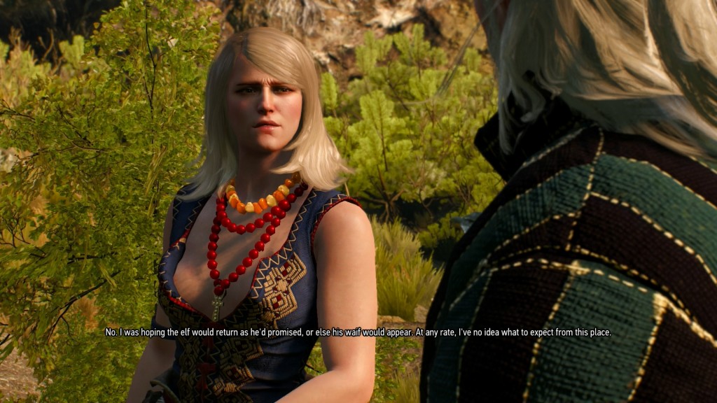 WITCHER-3