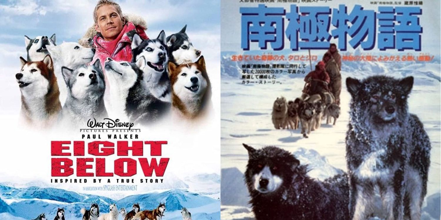 Eight Below Antarctica