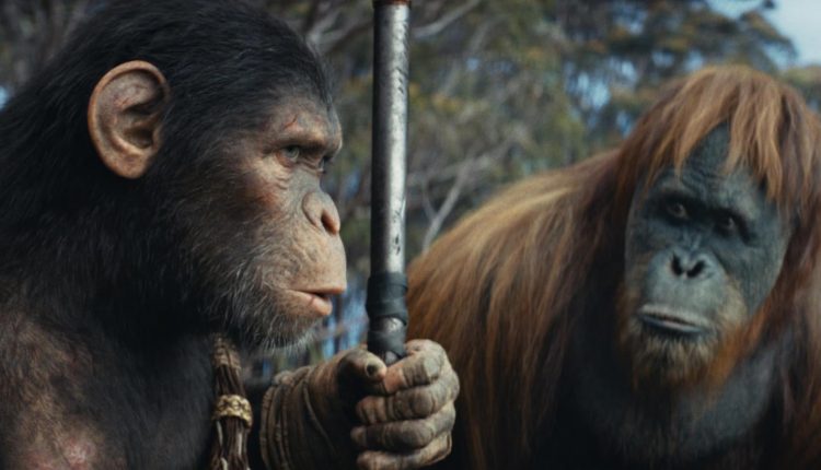 فیلم سینمایی Kingdom of the Planet of the Apes