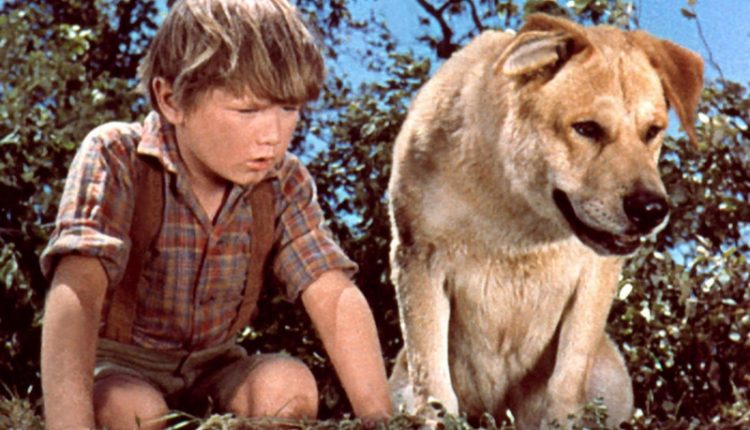 Old Yeller (1957)